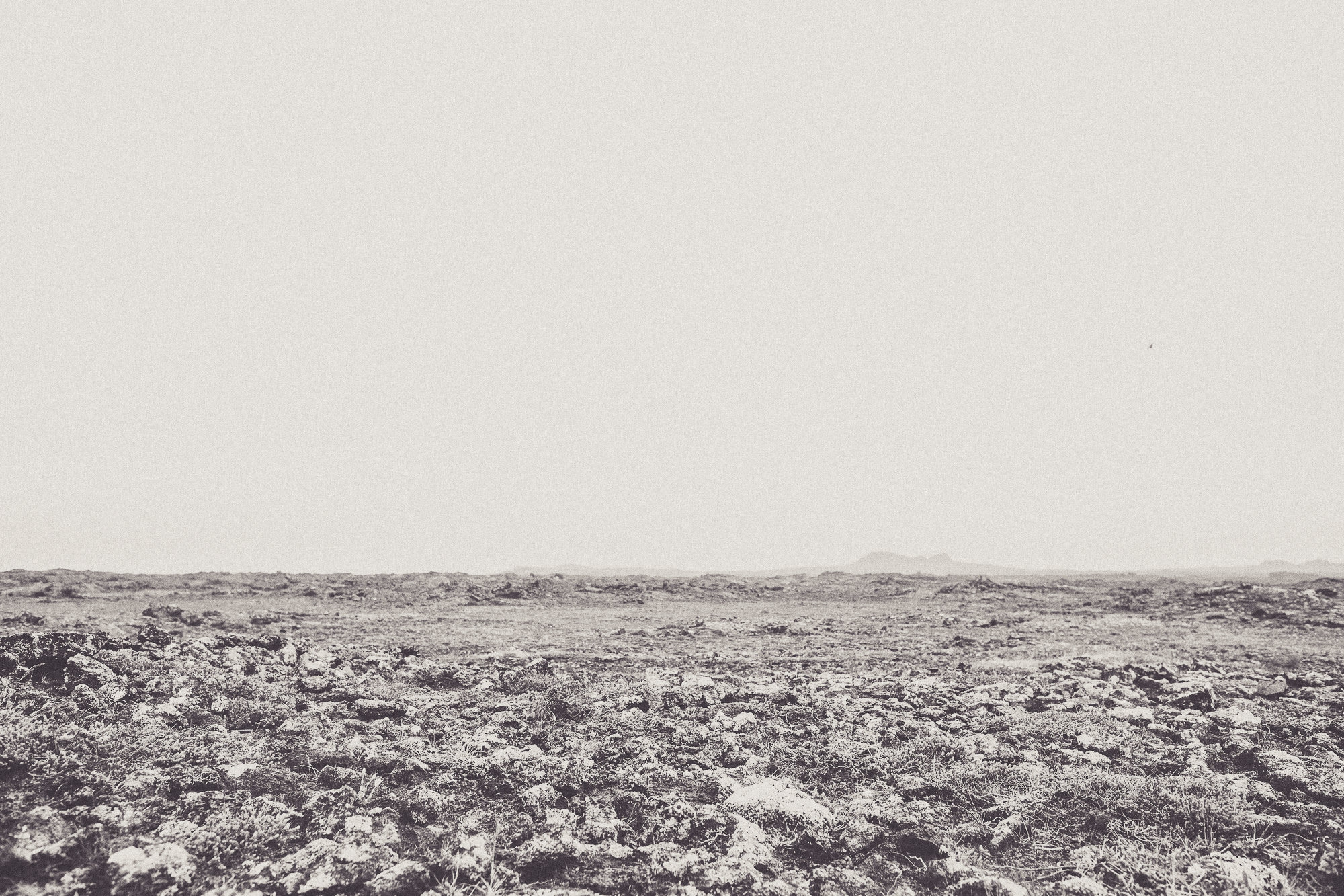 Export x3 5D4 8795 Gaby & German @ Reykanesviti 2